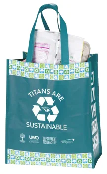 The Jumbo PET Grocery Tote