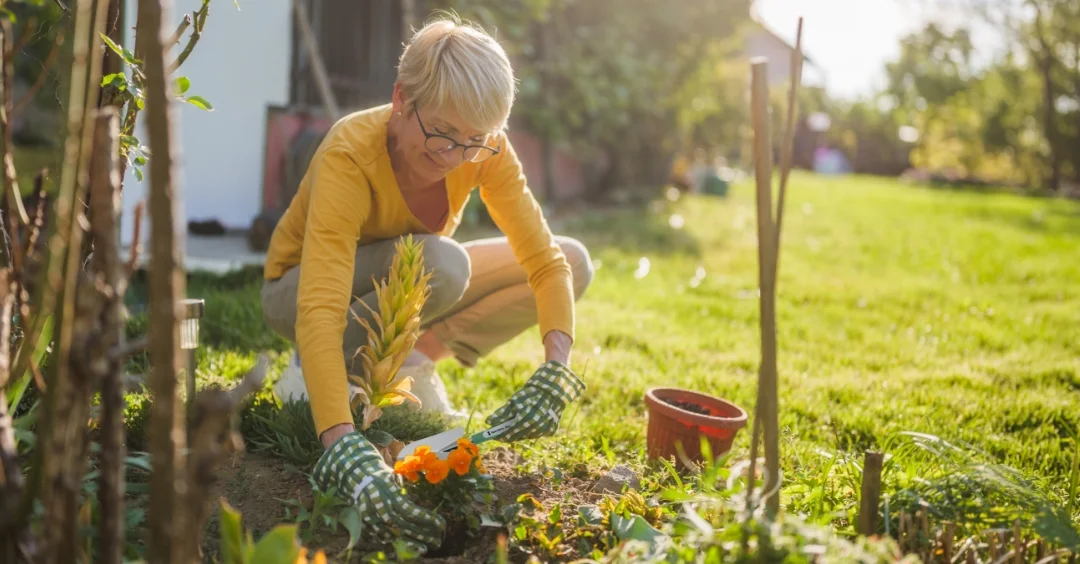 a lady gardening.