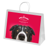 View Image 1 of 2 of Ashdown Extra Large Paper Gift Bag