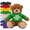 View Image 1 of 1 of 17cm Anne Bear with Coloured T-Shirt