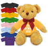 View Image 1 of 1 of 18cm William Bear with Coloured T-Shirt