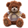 View Image 1 of 3 of Medium Patched Paw Teddy with T-Shirt