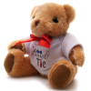 View Image 1 of 4 of Medium Jointed Teddy with T-Shirt