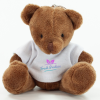 View Image 1 of 6 of Taylor Keyring Bear with T-Shirt