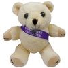 View Image 1 of 1 of DISC Honey Bear with Sash