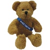 View Image 1 of 1 of Scraggy Bear with Sash