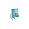 View Image 1 of 1 of DISC Mini Desk Calendar - Blue Planet