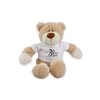 View Image 1 of 1 of DISC Wally Bear with T-shirt