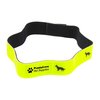 View Image 1 of 1 of DISC Hi Vis Dogband