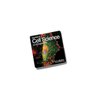 View Image 1 of 1 of DISC Square Shape Magnet