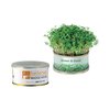 View Image 1 of 1 of DISC Garden in a Tin - Small