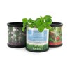 View Image 1 of 2 of DISC Plants in Recycled Pots
