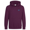 View Image 1 of 2 of AWDis Kid's College Hoodie - Embroidered