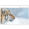 View Image 1 of 13 of Wall Calendar - Born Free