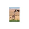 View Image 1 of 2 of DISC Wall Calendar - Natural Life