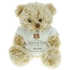 View Image 1 of 1 of Fudge Bear with T-Shirt