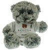 View Image 1 of 1 of Mullbury Bear with T-Shirt