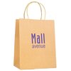View Image 1 of 1 of Brunswick Paper Bag - Natural - Medium - 1 Day