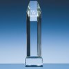 View Image 1 of 1 of 255mm Optical Crystal Hexagon Award