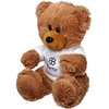 View Image 1 of 2 of DISC Walter Bear with T-Shirt - Large