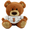 View Image 1 of 5 of 25cm Charlie Bear with T-Shirt