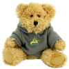 View Image 1 of 14 of 20cm Sparkie Bear with Hoody