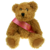 View Image 1 of 2 of 25cm Sparkie Bear with Sash