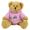 View Image 1 of 13 of 25cm Sparkie Bear with Hoody