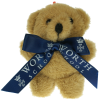 View Image 1 of 23 of 10cm Tiny Teddy with Bow