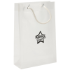View Image 1 of 1 of DISC A5 Clear Gift Bag