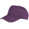 View Image 1 of 1 of SUSP Result Boston Cap