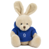 View Image 1 of 11 of 15cm Rabbit with Hoody