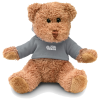 View Image 1 of 6 of Teddy Bear with Hoody