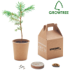 View Image 1 of 7 of GrowTree™ Pine Tree Set