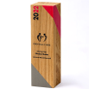 View Image 1 of 1 of 240mm Beech Column Award - Digital Print