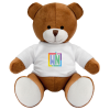 View Image 1 of 1 of 20cm Richard Bear