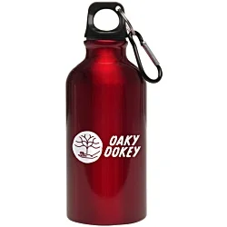 Pollock 400ml Aluminium Sports Bottle