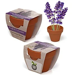 Mini Terracotta Pots