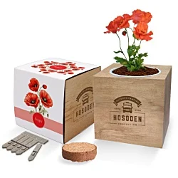 Essentials Desktop Cube Garden