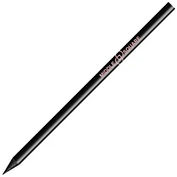 BIC® Evolution® Basalt Pencil