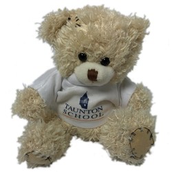 12cm Paw Bear with T-Shirt