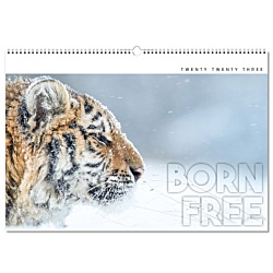 Wall Calendar - Born Free