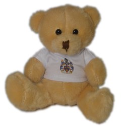 Scout Bears - Loyal Bear with T-Shirt