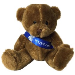 Scout Bears - Kind Bear with Sash