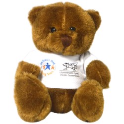 Scout Bears - Kind Bear with T-Shirt