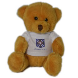 Scout Bears - Cheerful Bear with T-Shirt