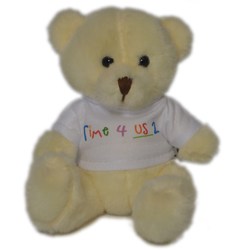 Scout Bears - Brave Bear with T-Shirt