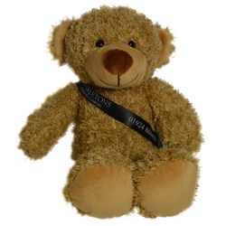 20cm Barney Bear with Sash - Biscuit
