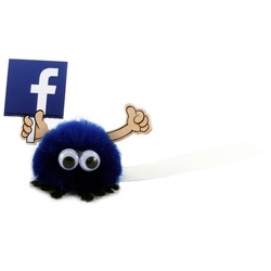 Social Media Message Bugs - Facebook
