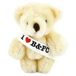 Baby Bear with Sash